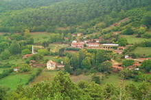 Revnak (Fındıkoluk) Köyü